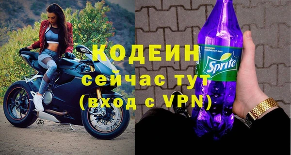 сатива Иннополис