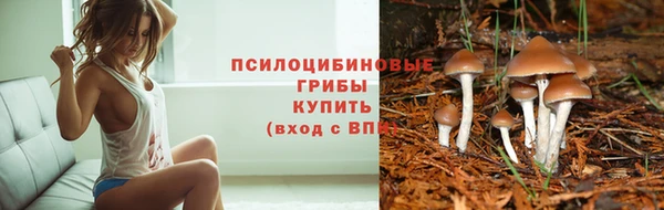 твердый Инсар