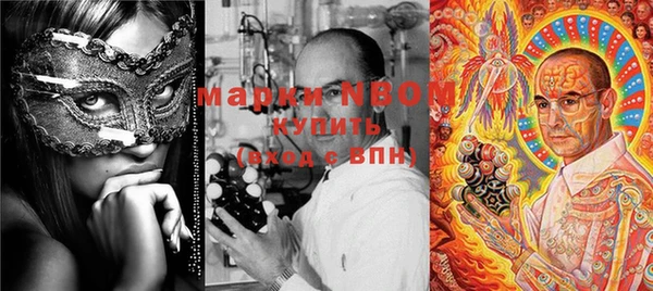 сатива Иннополис