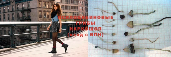 твердый Инсар