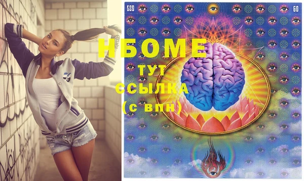 твердый Инсар