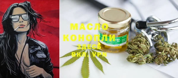 сатива Иннополис